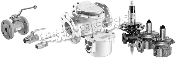 DUNGS是安全清潔氣體燃燒的同義詞，倡導(dǎo)與客戶緊密合作，