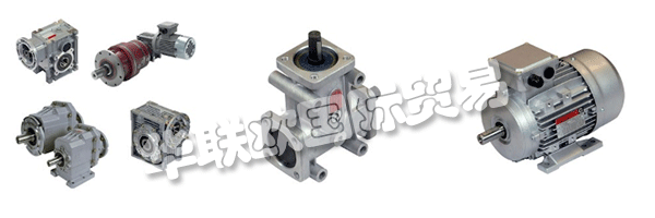 財(cái)產(chǎn)的意愿都是維持和鞏固集團(tuán)的領(lǐng)導(dǎo)地位CHIARAVALLI，