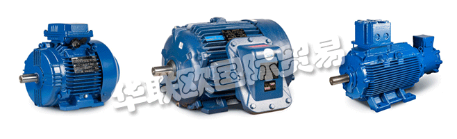 Regal的商業(yè)組織與CEMP?Srl一起，通過遍布許多國家的代理商，