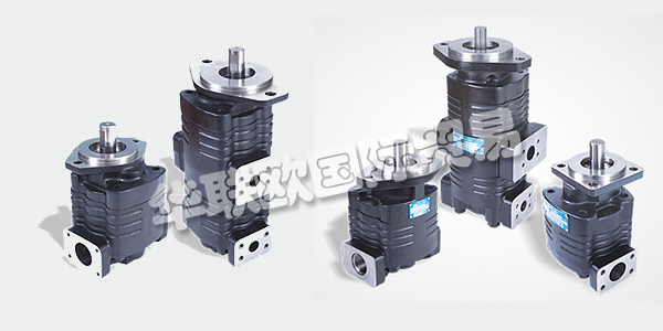 印度VELJAN主要產(chǎn)品：VELJAN齒輪泵、液壓閥等。VELJAN HYDRAIR LIMITED成立于1965年，是印度FLUID POWER公司的先驅(qū)，也是其獨立的領(lǐng)導(dǎo)者。