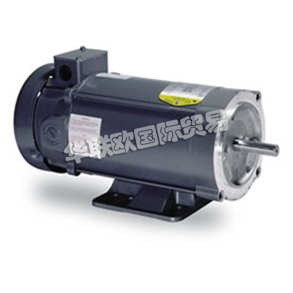 BALDOR直流電機(jī)CDP3445-直流電機(jī)產(chǎn)品系列圖片