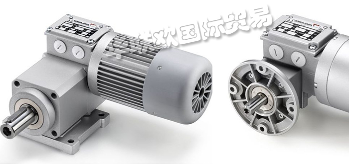 意大利MINIMOTOR齒輪減速機(jī)系列產(chǎn)品特點(diǎn)及型號介紹