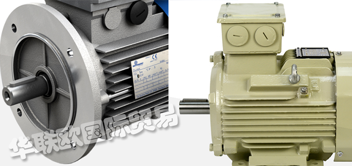 MOTOVARIO是什么牌子,意大利MOTOVARIO電機(jī)說(shuō)明書