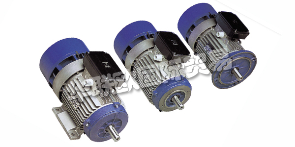 MGM是什么意思,MGM電機(jī),MGM剎車電機(jī),意大利MGM,意大利剎車電機(jī),MGM型號(hào),MGM剎車電機(jī)型號(hào)