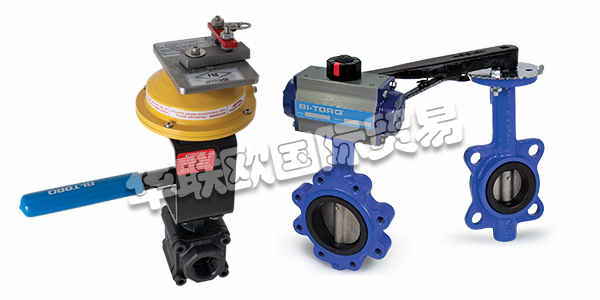 美國(guó)STRAHMAN閥門(mén)產(chǎn)品描述(STRAHMAN閥門(mén)產(chǎn)品功能和選項(xiàng))